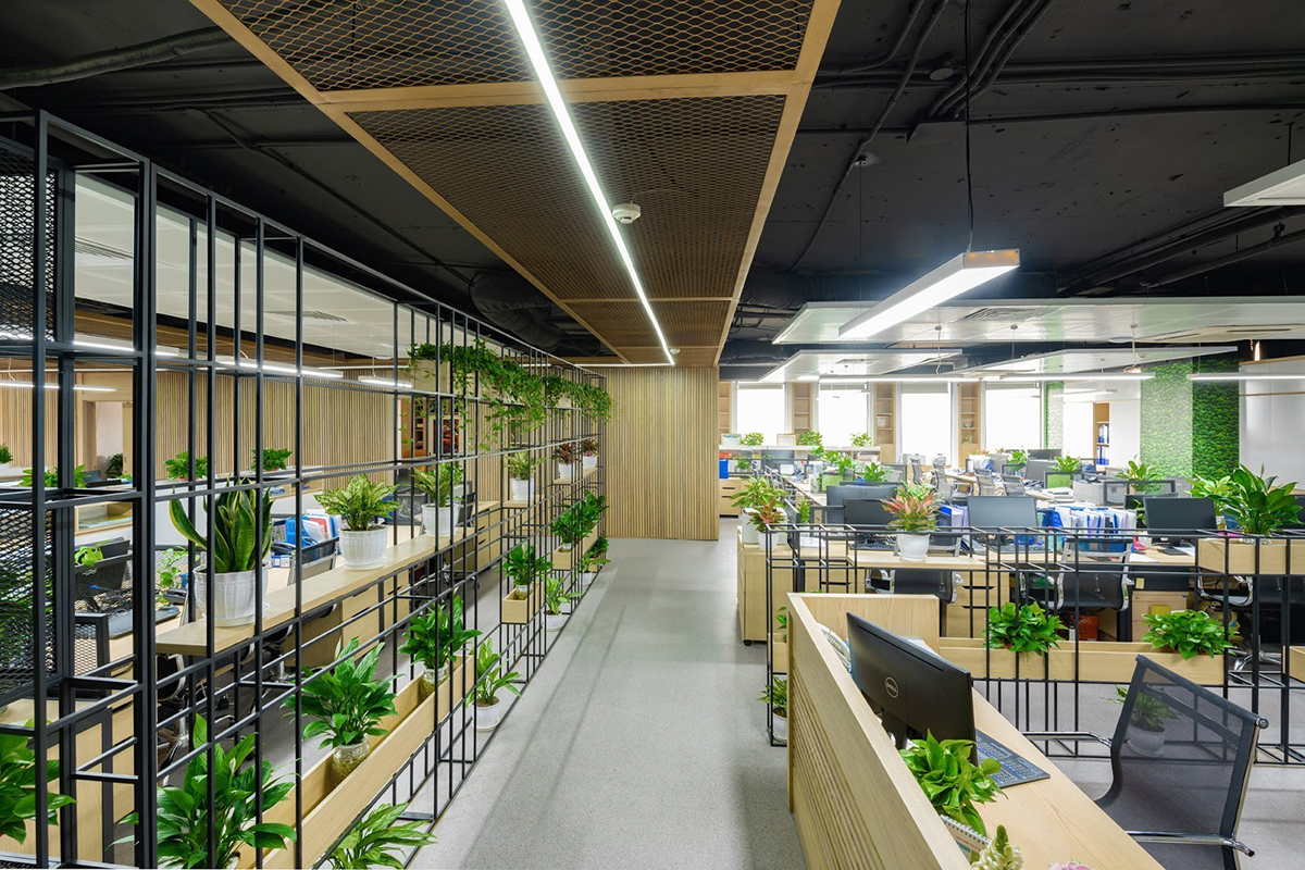 Thiết kế nội thất văn phòng phong cách xanh - Nội thất Tân Phát